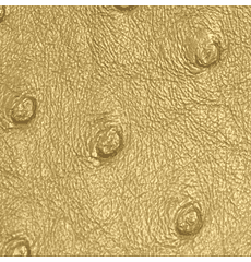 Titan Ostrich Faux Leather Metallic Gold