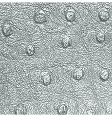 Titan Ostrich Faux Leather Metallic Silver