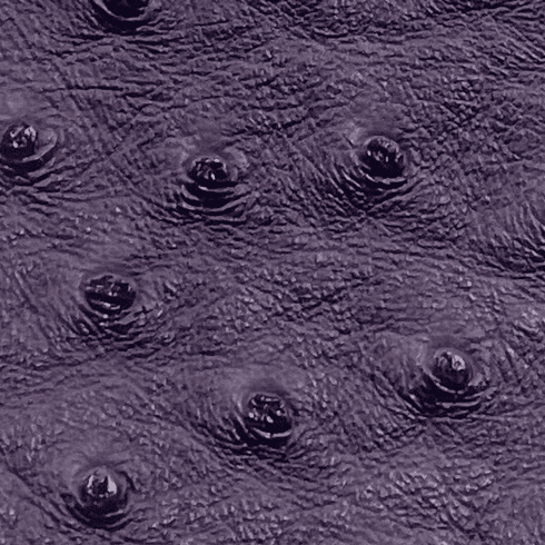 Titan Ostrich Faux Leather Purple