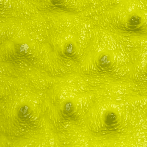 Titan Ostrich Faux Leather Neon Yellow