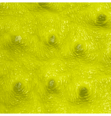 Titan Ostrich Faux Leather Neon Yellow