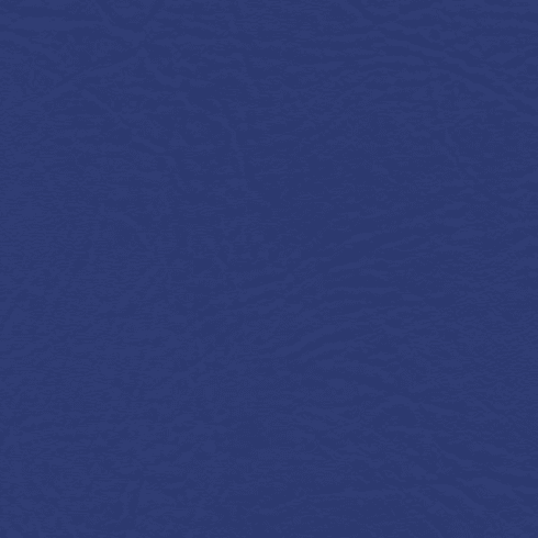Tradewinds Plus Abyss