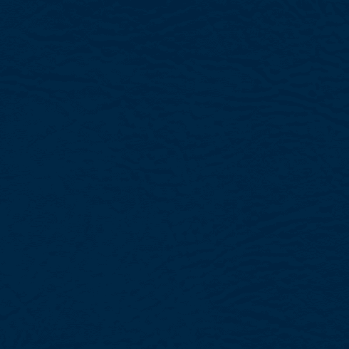 Tradewinds Plus Delta Blue