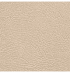 Tradewinds Plus Ivory Coast