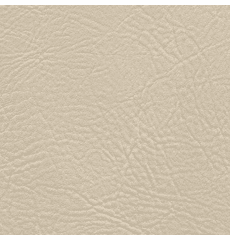 Tradewinds Plus Seashell