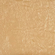 Vinyl Top Buckskin