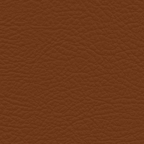 Whisper Neo Plus Vinyl Auburn