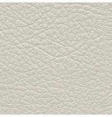 Whisper Neo Plus Vinyl Bone (Pearl Tinted)