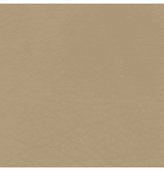 Whisper Neo Plus Vinyl Camel