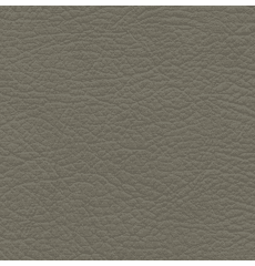 Whisper Neo Plus Vinyl Fossil