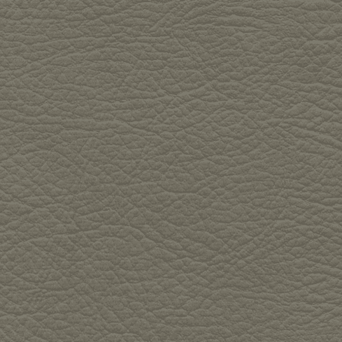 Whisper Neo Plus Vinyl Fossil