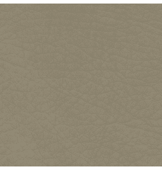 Whisper Neo Plus Vinyl Gravel