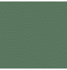 Whisper Neo Plus Vinyl Herbal