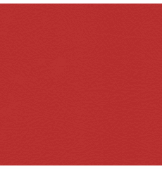 Whisper Neo Plus Vinyl Molten