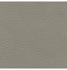 Whisper Neo Plus Vinyl Pavestone