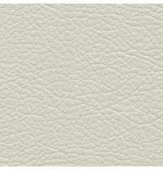 Whisper Neo Plus Vinyl Powder