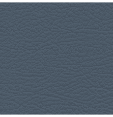 Whisper Neo Plus Vinyl Wolf Grey