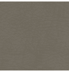 Whisper Neo Plus Vinyl Antelope