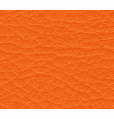 Whisper Neo Plus Vinyl Carotene LIMITED STOCK BEING DISCONTINUED