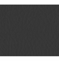 Whisper Neo Plus Vinyl Charcoal