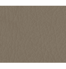 Whisper Neo Plus Vinyl Elephant