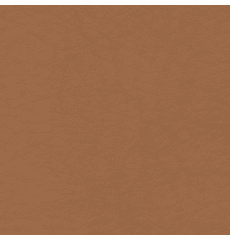 Whisper Neo Plus Vinyl Luggage