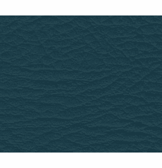 Whisper Neo Plus Vinyl Mallard