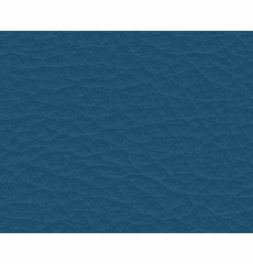 Whisper Neo Plus Vinyl Paradise