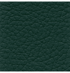 XTREME "Forest Green"