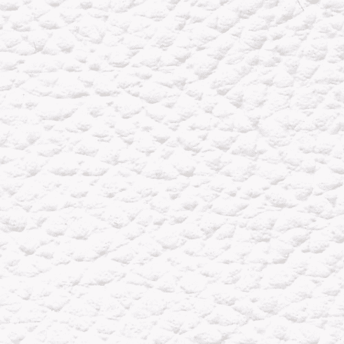 XTREME "White"