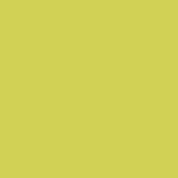 Elegant Shorts thumbnail